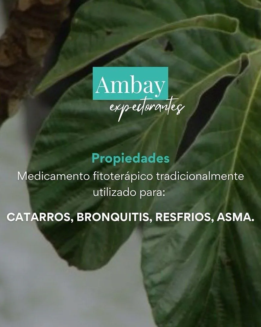 Ambay
